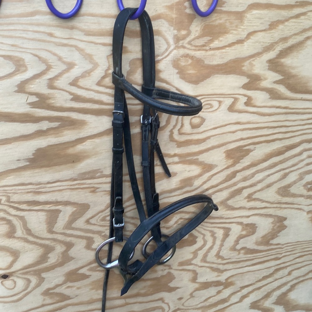 Black horse bridle. Dressage